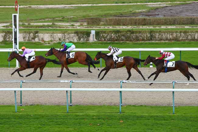 Photo d'arrivée de la course pmu PRIX DE FERGAND à DEAUVILLE le Mercredi 29 novembre 2017