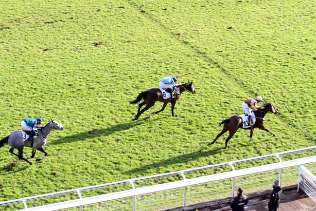 Photo d'arrivée de la course pmu PRIX DANDOLO à AUTEUIL le Jeudi 30 novembre 2017