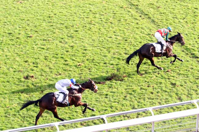 Photo d'arrivée de la course pmu PRIX CHALET à AUTEUIL le Jeudi 30 novembre 2017