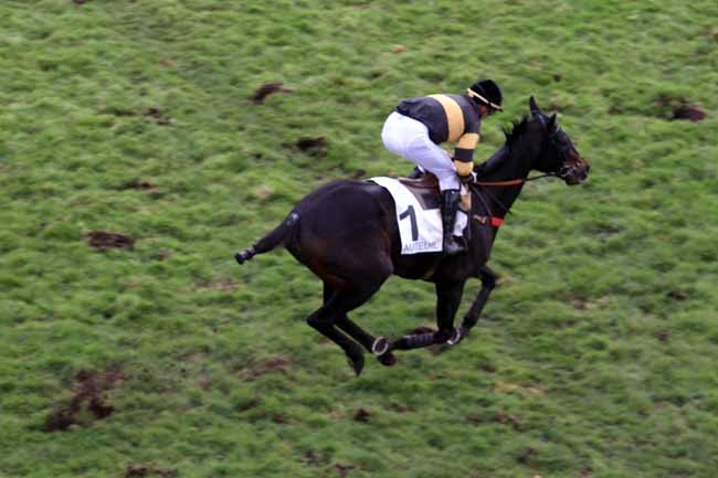 Photo d'arrivée de la course pmu PRIX SANTO PIETRO à AUTEUIL le Jeudi 30 novembre 2017