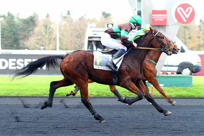 Photo d'arrivée de la course pmu PRIX DE LOUVIGNE-DU-DESERT à PARIS-VINCENNES le Jeudi 30 novembre 2017