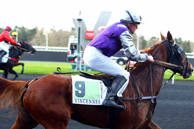 Photo d'arrivée de la course pmu PRIX URGENT à PARIS-VINCENNES le Jeudi 30 novembre 2017
