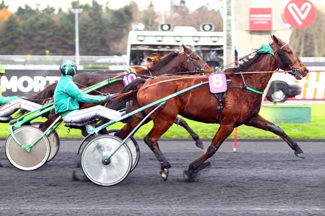 Photo d'arrivée de la course pmu PRIX D'AIGUES MORTES à PARIS-VINCENNES le Jeudi 30 novembre 2017