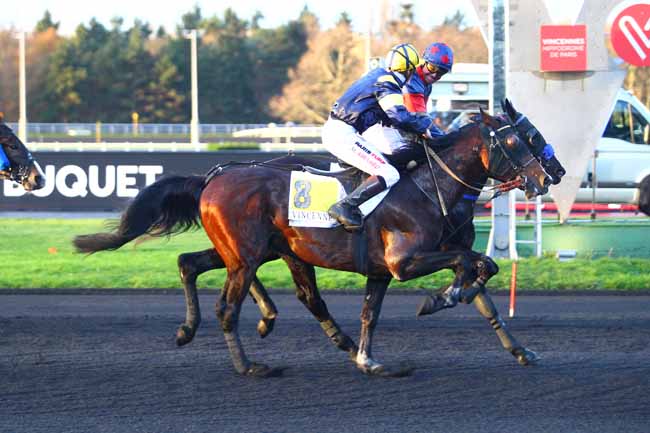 Photo d'arrivée de la course pmu PRIX PAUL BUQUET à PARIS-VINCENNES le Jeudi 30 novembre 2017