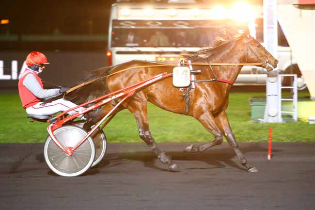 Photo d'arrivée de la course pmu PRIX PHILIA à PARIS-VINCENNES le Vendredi 1 décembre 2017