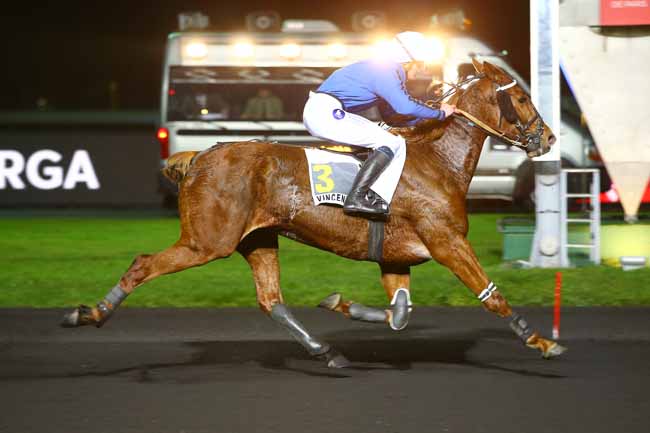 Photo d'arrivée de la course pmu PRIX WALPURGA à PARIS-VINCENNES le Vendredi 1 décembre 2017