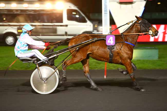 Photo d'arrivée de la course pmu PRIX VIBILIA à PARIS-VINCENNES le Vendredi 1 décembre 2017