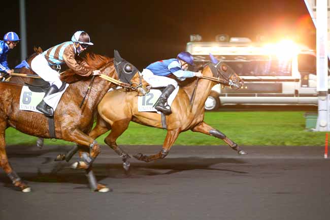 Photo d'arrivée de la course pmu PRIX NORMA à PARIS-VINCENNES le Vendredi 1 décembre 2017