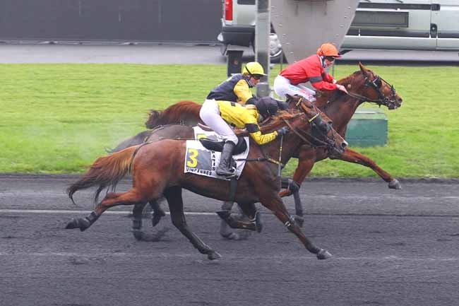 Photo d'arrivée de la course pmu PRIX PHILIPPE DU ROZIER à PARIS-VINCENNES le Dimanche 3 décembre 2017
