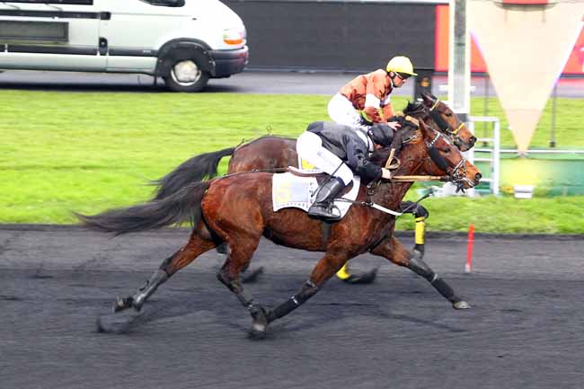Photo d'arrivée de la course pmu PRIX DE MERAL à PARIS-VINCENNES le Lundi 4 décembre 2017