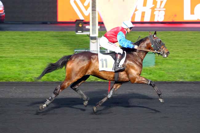 Photo d'arrivée de la course pmu PRIX DE GENSAC à PARIS-VINCENNES le Lundi 4 décembre 2017