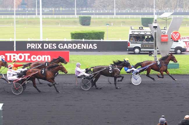 Photo d'arrivée de la course pmu PRIX DES GARDENIAS à PARIS-VINCENNES le Mardi 5 décembre 2017