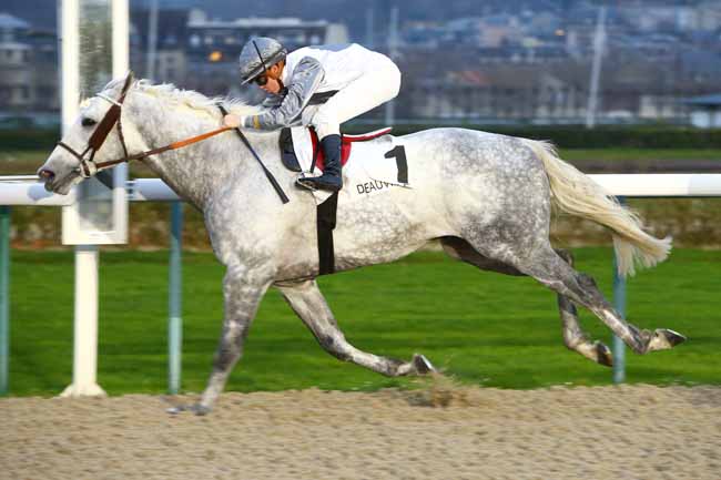 Photo d'arrivée de la course pmu PRIX DE LA PLAGE à DEAUVILLE le Mardi 5 décembre 2017