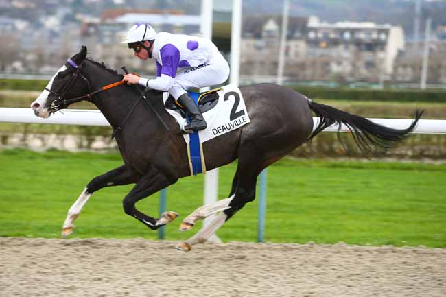 Photo d'arrivée de la course pmu PRIX KINGMAMBO à DEAUVILLE le Mardi 5 décembre 2017