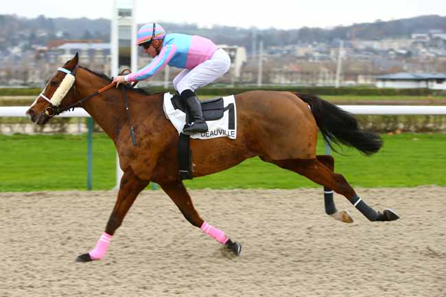 Photo d'arrivée de la course pmu PRIX DE LA HOULE à DEAUVILLE le Mardi 5 décembre 2017