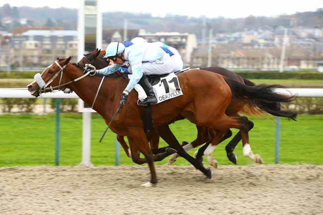 Photo d'arrivée de la course pmu PRIX DE PRECOLETTE à DEAUVILLE le Mardi 5 décembre 2017