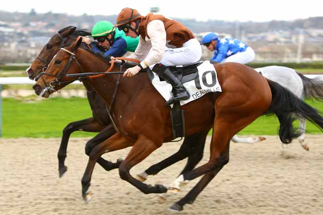 Photo d'arrivée de la course pmu PRIX DE MONDEVILLE à DEAUVILLE le Mardi 5 décembre 2017
