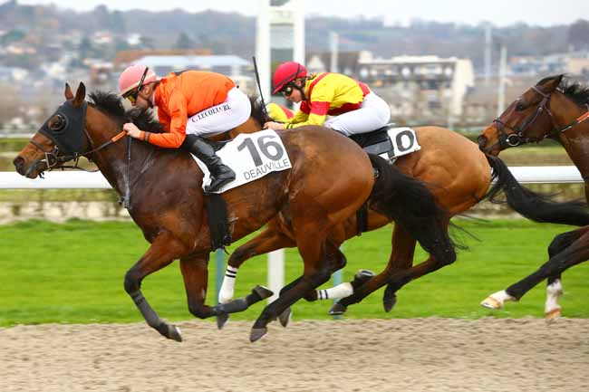 Photo d'arrivée de la course pmu PRIX DES GENTILHOMMIERES à DEAUVILLE le Mardi 5 décembre 2017