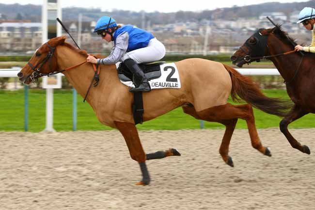 Photo d'arrivée de la course pmu PRIX DES PERRETS à DEAUVILLE le Mercredi 6 décembre 2017