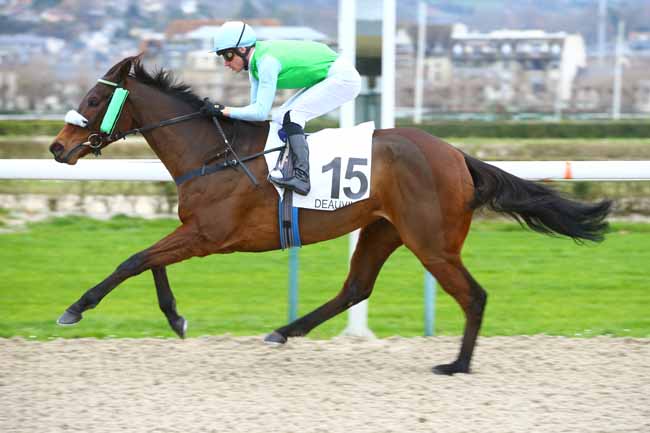 Photo d'arrivée de la course pmu PRIX DE GRANDOUET à DEAUVILLE le Mercredi 6 décembre 2017