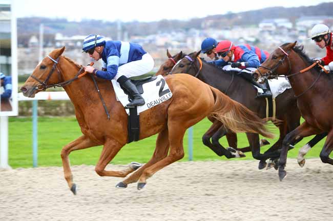 Photo d'arrivée de la course pmu PRIX DE MONTFORT à DEAUVILLE le Mercredi 6 décembre 2017