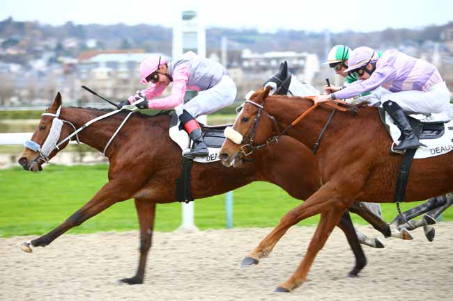 Photo d'arrivée de la course pmu PRIX DE BERDHUIS à DEAUVILLE le Mercredi 6 décembre 2017