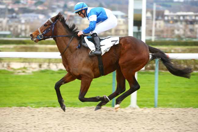 Photo d'arrivée de la course pmu PRIX DE MEHERAN à DEAUVILLE le Mercredi 6 décembre 2017