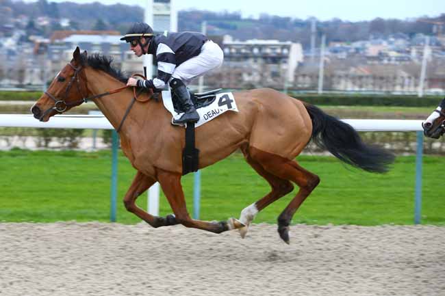 Photo d'arrivée de la course pmu PRIX DE MEDAVY à DEAUVILLE le Mercredi 6 décembre 2017