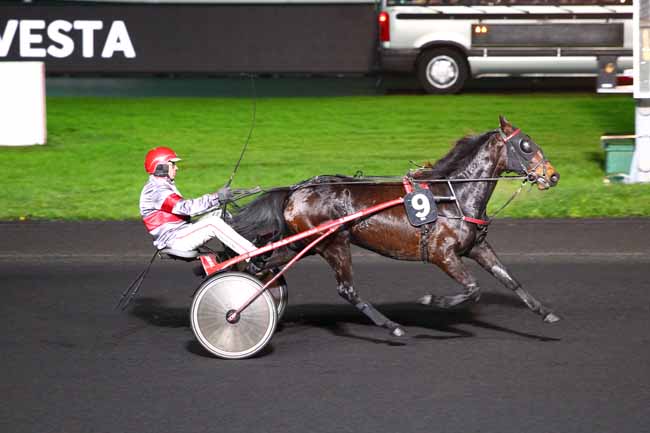 Photo d'arrivée de la course pmu PRIX VESTA à PARIS-VINCENNES le Vendredi 8 décembre 2017