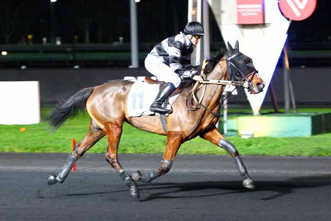 Photo d'arrivée de la course pmu PRIX EDNA à PARIS-VINCENNES le Vendredi 8 décembre 2017