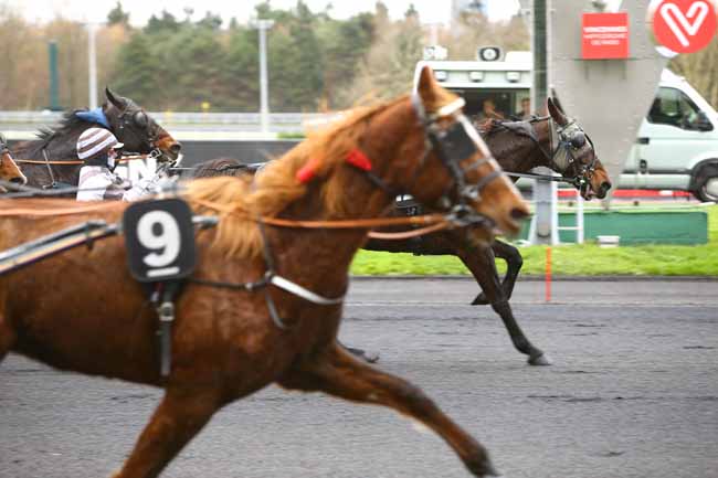 Photo d'arrivée de la course pmu PRIX D'ERAGNY à PARIS-VINCENNES le Lundi 11 décembre 2017