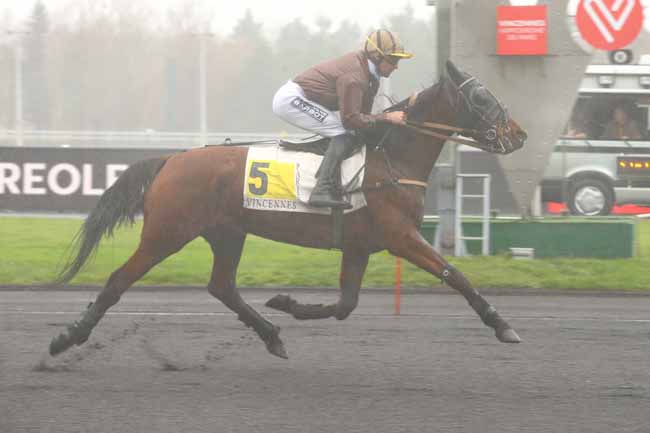 Photo d'arrivée de la course pmu PRIX DE LA REOLE (GR B) à PARIS-VINCENNES le Lundi 11 décembre 2017