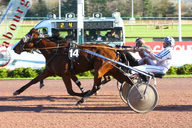 Photo d'arrivée de la course pmu PRIX DES MARJOLAINES (GR A) à CABOURG le Mardi 12 décembre 2017