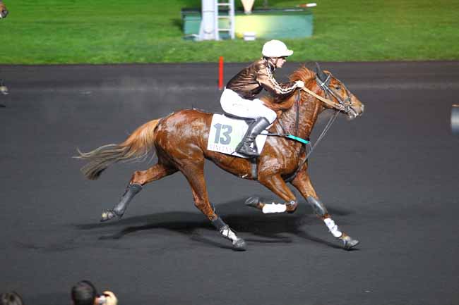 Photo d'arrivée de la course pmu PRIX WERINGIA à PARIS-VINCENNES le Mardi 12 décembre 2017