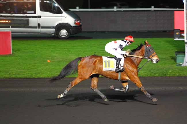Photo d'arrivée de la course pmu PRIX MERCATOR à PARIS-VINCENNES le Mardi 12 décembre 2017