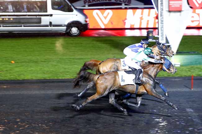 Photo d'arrivée de la course pmu PRIX DU SAP à PARIS-VINCENNES le Mercredi 13 décembre 2017