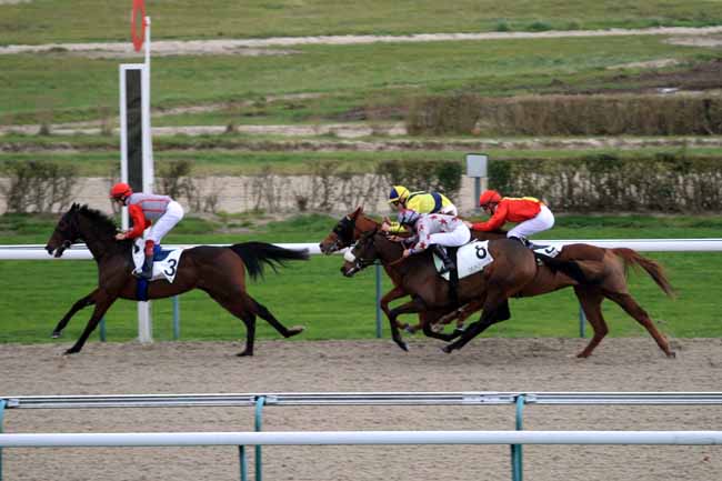 Photo d'arrivée de la course pmu PRIX DU VEXIN NORMAND à DEAUVILLE le Jeudi 14 décembre 2017
