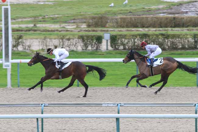 Photo d'arrivée de la course pmu PRIX DE LA CHARENTONNE à DEAUVILLE le Jeudi 14 décembre 2017