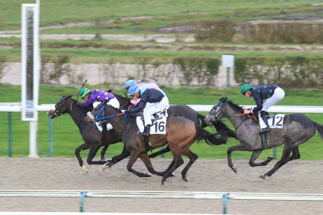 Photo d'arrivée de la course pmu PRIX DE CONCHES à DEAUVILLE le Jeudi 14 décembre 2017