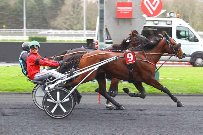 Photo d'arrivée de la course pmu PRIX DE LA DROME à PARIS-VINCENNES le Jeudi 14 décembre 2017