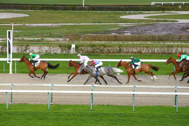 Photo d'arrivée de la course pmu PRIX DE LA TUILERIE à DEAUVILLE le Vendredi 15 décembre 2017