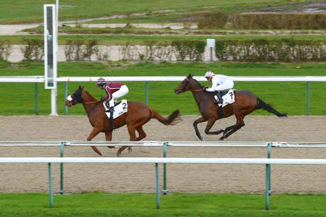 Photo d'arrivée de la course pmu PRIX DE BONNERIE à DEAUVILLE le Vendredi 15 décembre 2017