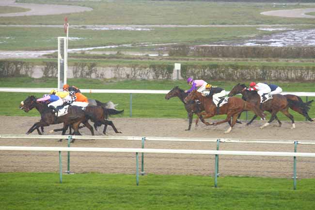 Photo d'arrivée de la course pmu PRIX DE PRAIL à DEAUVILLE le Vendredi 15 décembre 2017