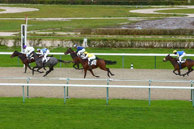 Photo d'arrivée de la course pmu PRIX DU PONT DE LA PIERRE à DEAUVILLE le Vendredi 15 décembre 2017