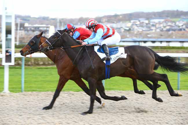 Photo d'arrivée de la course pmu PRIX DE ROIVILLE à DEAUVILLE le Samedi 16 décembre 2017