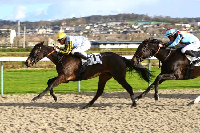 Photo d'arrivée de la course pmu PRIX DE FLERS à DEAUVILLE le Samedi 16 décembre 2017