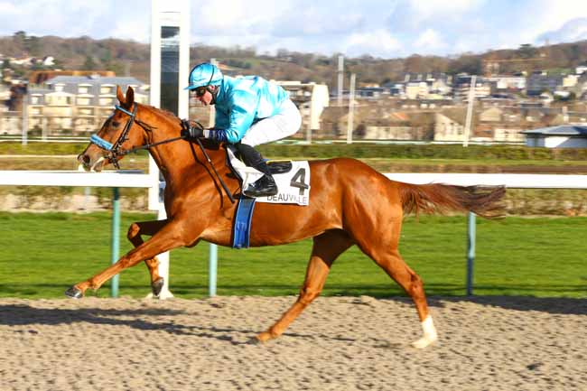Photo d'arrivée de la course pmu PRIX DE LA GAGNERIE à DEAUVILLE le Samedi 16 décembre 2017