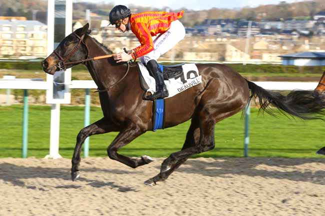 Photo d'arrivée de la course pmu PRIX DE LA GAGNERIE à DEAUVILLE le Samedi 16 décembre 2017