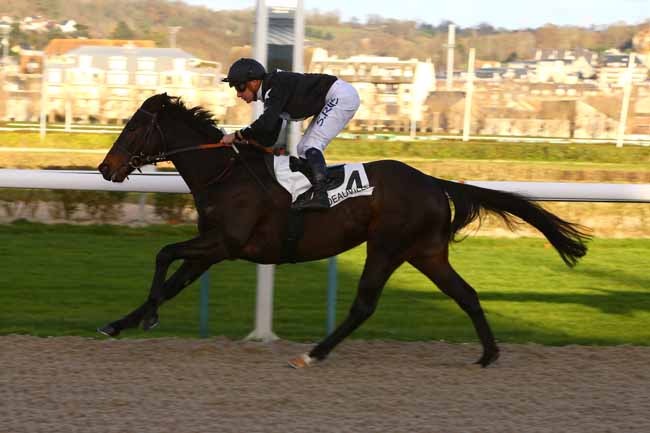 Photo d'arrivée de la course pmu PRIX DE SEVIGNY à DEAUVILLE le Samedi 16 décembre 2017
