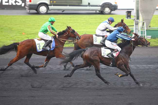 Photo d'arrivée de la course pmu PRIX DU SYNDICAT DES ENTRAINEURS, DRIVERS ET JOCKEYS à PARIS-VINCENNES le Dimanche 17 décembre 2017